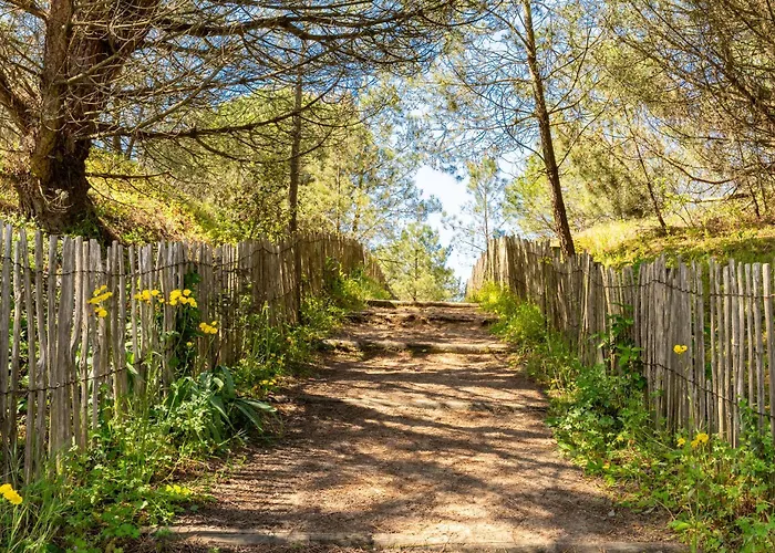 Maison De Pêcheur Au Calme Hébergement de vacances La Faute-sur-Mer